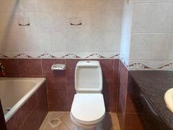 Selanting Green (D21), Apartment #452898341